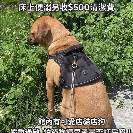 풀리 디안디안 33 호스텔 외부 사진