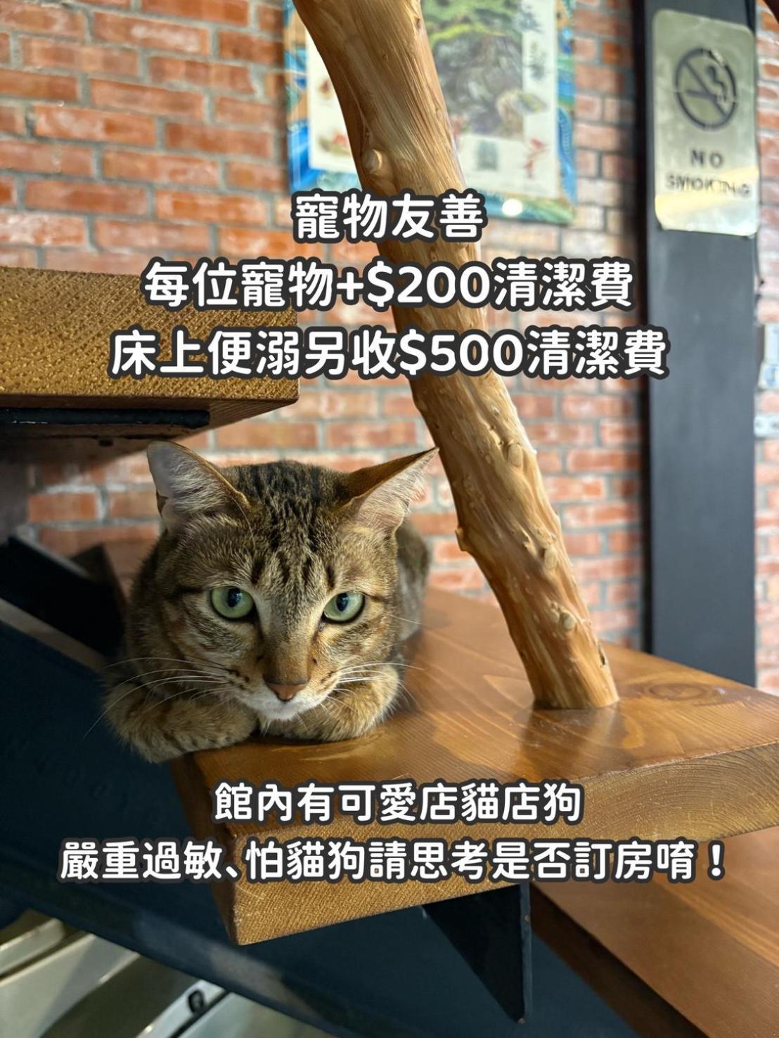 풀리 디안디안 33 호스텔 외부 사진
